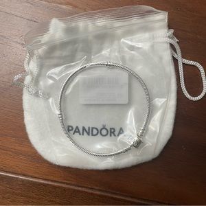 Brand New Pandora Bracelet
